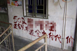 华阴为什么选择专业追讨公司来处理您的债务纠纷？