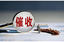 华阴遇到恶意拖欠？专业追讨公司帮您解决烦恼